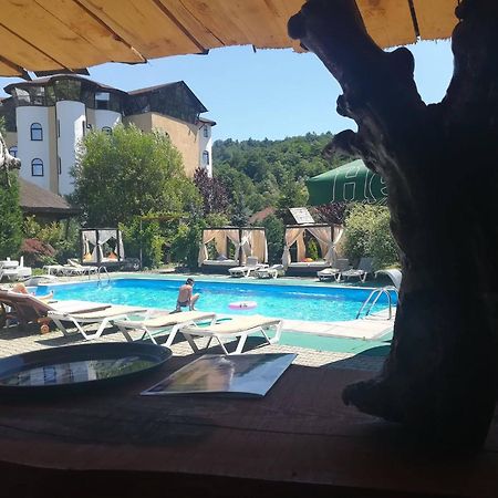 ホテル Castelul De Vis Petroşani エクステリア 写真