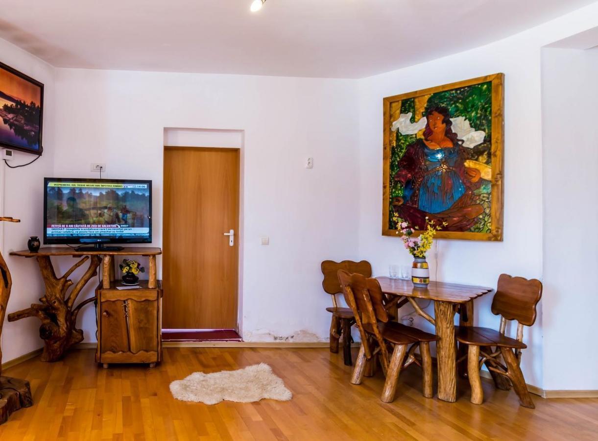 ホテル Castelul De Vis Petroşani エクステリア 写真