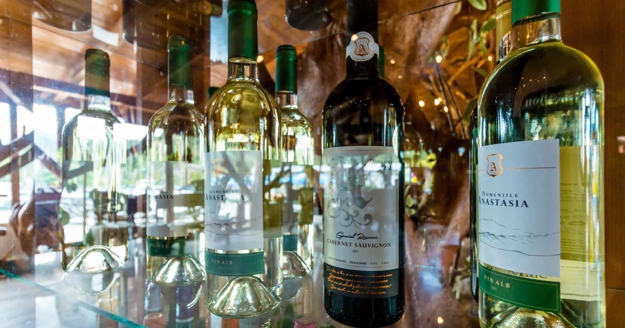 ホテル Castelul De Vis Petroşani エクステリア 写真