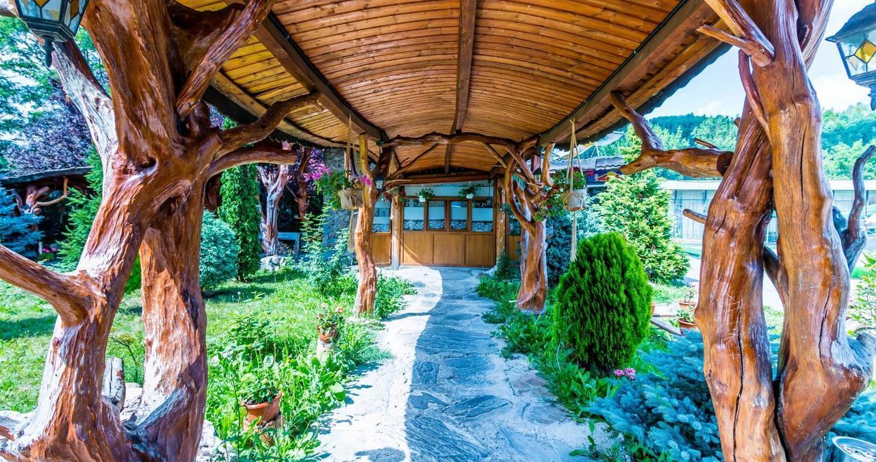 ホテル Castelul De Vis Petroşani エクステリア 写真