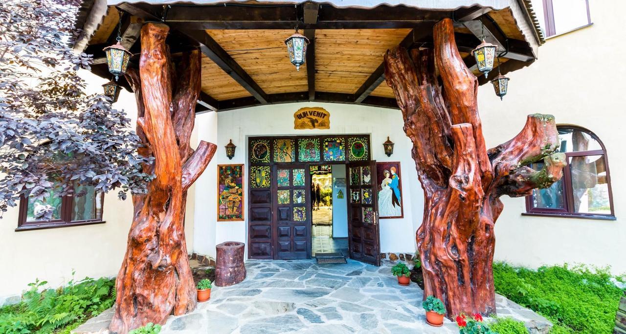 ホテル Castelul De Vis Petroşani エクステリア 写真