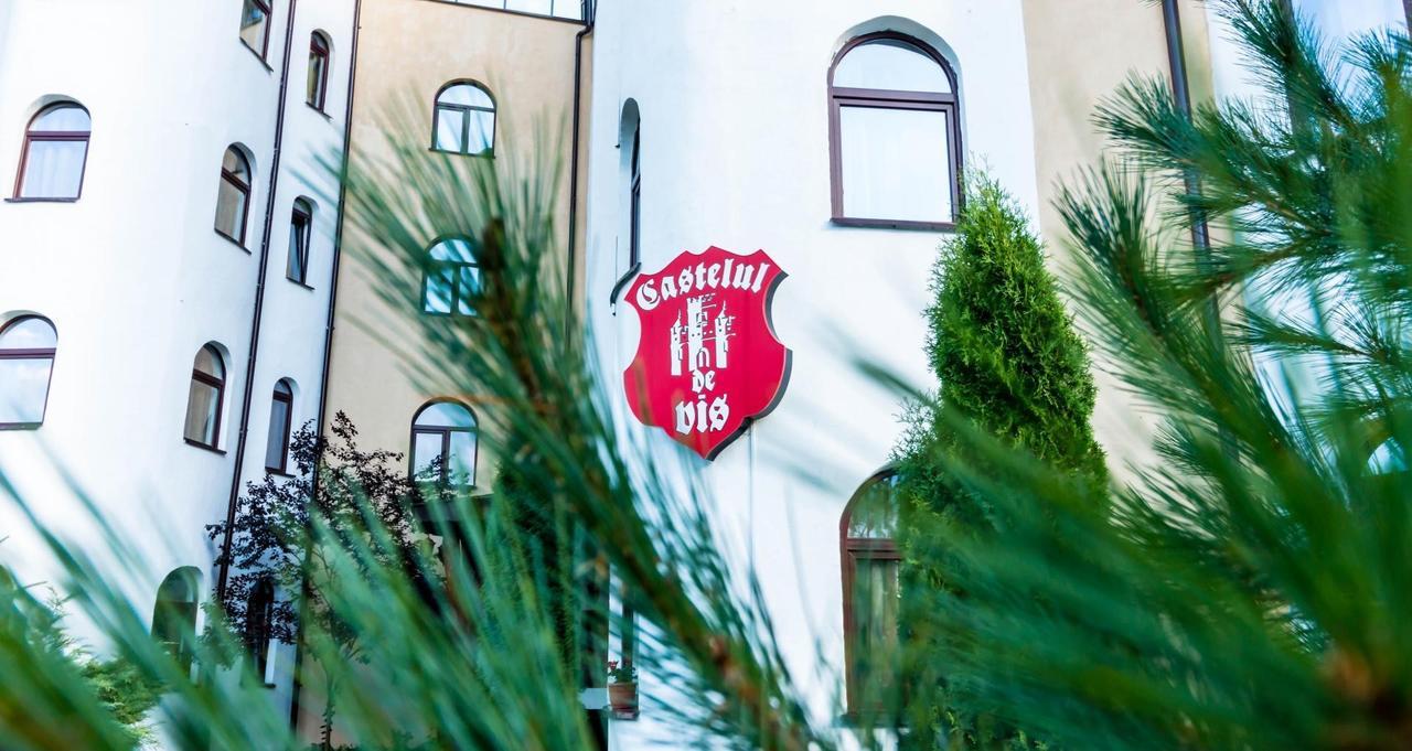 ホテル Castelul De Vis Petroşani エクステリア 写真